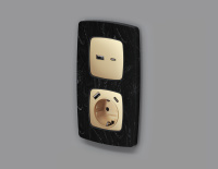 Лицевая панель OMEGA (Шампань) для электрической розетки с/з со шторками 2USB A+C QUANT (Ambrella Volt, OP6100)